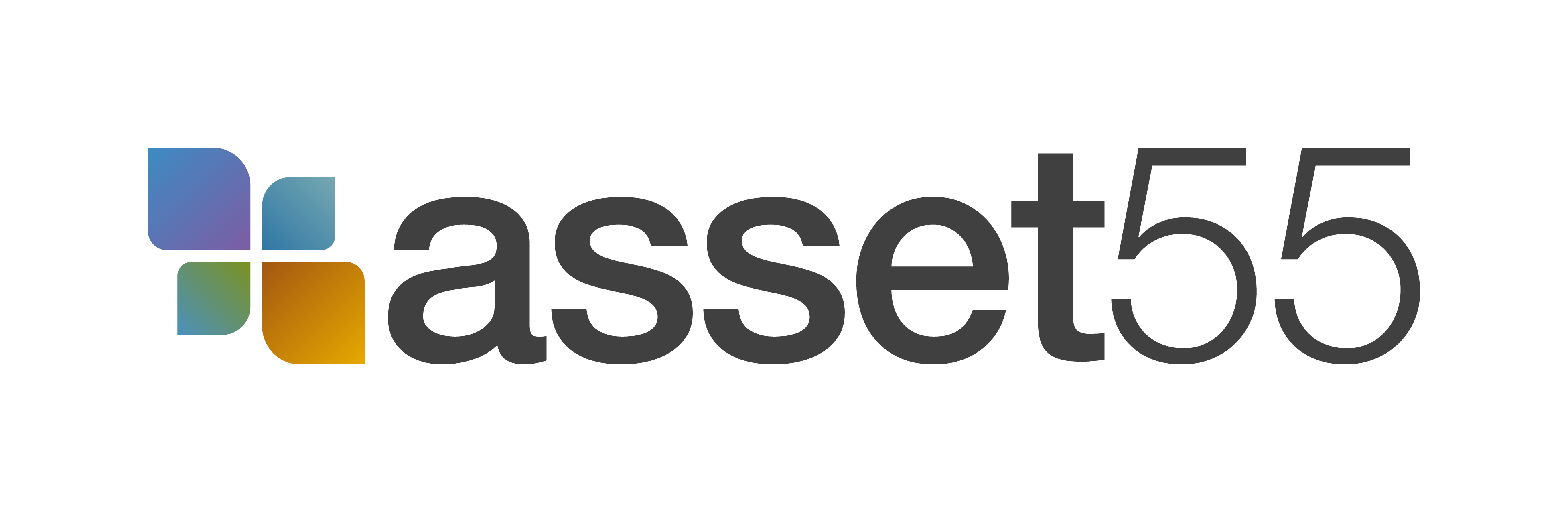 asset55 Logo