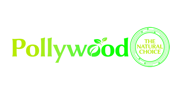 Pollywood  Logo